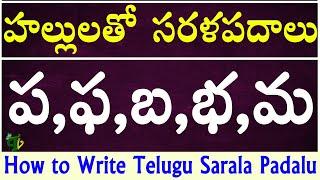 Hallulatho Sarala Padalu with Pa Pha Ba Bha Ma padalu | Telugu varnamala #saralapadalu |Telugu words