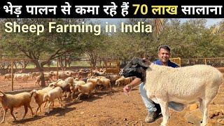 इतना बड़ा भेड़ फॉर्म आपने देखा नहीं होगा | Sheep Farming | Sheep Farming in India | Sheep Farm Tour