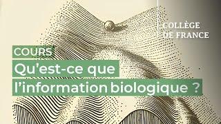 Qu’est-ce que l’information biologique ? (1) - Thomas Lecuit (2024-2025)