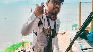 Tim's Dogtooth Tuna | Jigging | Cebu Philippines