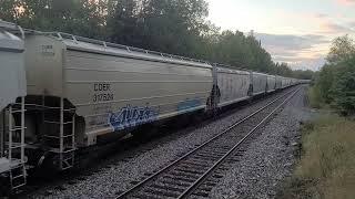 A heavy CPKC grain train luggs up the grade from Cross Lake to Ingolf with an SD70AH T4. 9/19/24.