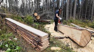 Cutting LONG & THIN Boards Using a Chainsaw...WITHOUT a Mill!