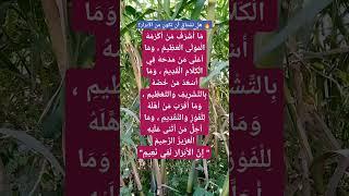  هل تشتاق أن تكون من الأبرار؟#موعظة_مؤثرة#الصالحين#القرآن_الكريم