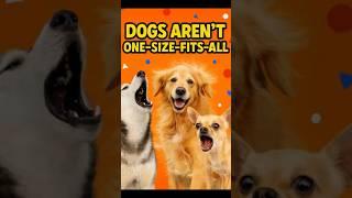 Dog Breeds You Think You Want… Until You Own One