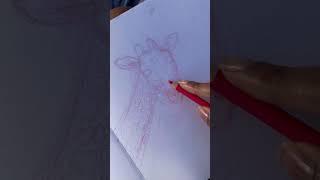 Sketch with me | beginner artist