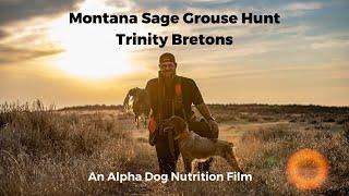 Hunting Montana's Uplands: The Sage Grouse