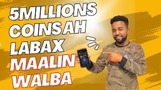 Hamster Kombat Daily combo Maalin Walba Mobilkaaga Ka Samee $1000 Airdrops Si Fudud