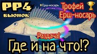 РР4. Раздача трофеев! Мой 63-й Трофей Ерш-носарь на Вьюнке! Где и на что клюет!?