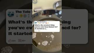 What's the craziest thing you've ever been blamed for   #reddit