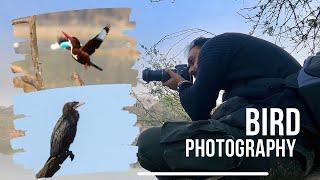 Amazing Bird Photography in Sultanpur National Park - Bird Photography Tips