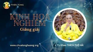 Kinh Hoa Nghiêm _Phẩm Thập Địa_Thầy Thích Tuệ Hải_Buổi giảng ngày 13/10/2024(Buổi 676, 677)