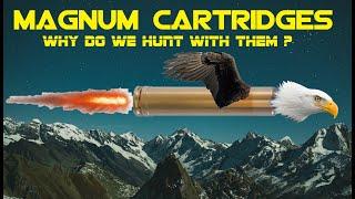 MAGNUM CARTRIDGES: Why do we hunt with them?