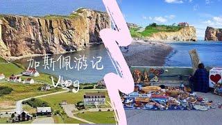 魁北克旅游|一生需要体验一次的风光：魁北克加斯佩半岛Gaspé！