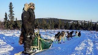 Navy SEAL Dog Musher Jeff Reid of Frozen Trident Kennel PT 1