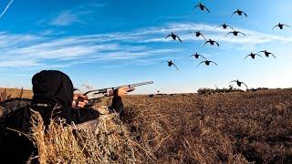 CRAZY CANADA PEA FIELD DUCK HUNT! (Limited Out)