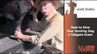 How to Give Your Hunting Dog a Tailgate Exam | Scott Linden