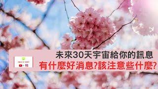 【Smile微笑塔羅】運勢占卜未來30天宇宙要給予你的訊息(需要留意的事情/天使小叮嚀)