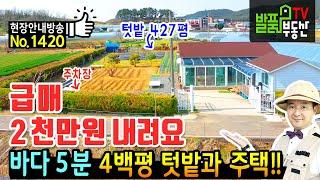 (급매) 가격을 다시 내리게 된 바닷가 5분 충남 서천 전원주택 토지 매매  4백평 텃밭 정남향 햇살 가득 추가 증축 가능 깔끔한 서천부동산 - 발품부동산TV