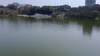 Lotus pond and awesome Lake Lalbagh @ Kannada Excellence Academy