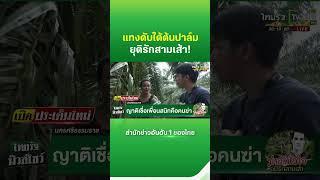 แทงดับใต้ต้นปาล์ม ยุติรักสามเส้า! | Thairath News