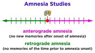 Information Storage and the Brain: Learning and Memory