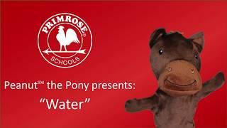 Peanut™ the Pony - "Water"