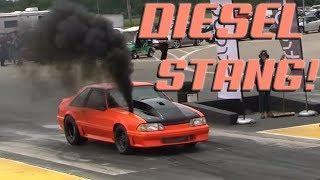 TURBO DIESEL Fox Body Mustang!