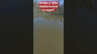 не жизнь а мечта!!!