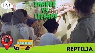 Destination Next | Episode 1 | Reptilia