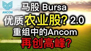 股票投资 | 大马股票 | 马股中一家农业优质股？三大值得我们关注原因 ！| 【乐学成长空间】