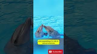 AI Decodes Dolphin Talk + Samsung’s Eco Display & More! 