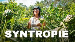 La SYNTROPIE va changer notre vision de L'AGRICULTURE à tout jamais