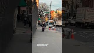 Explore NYC Prospect Expressway Brooklyn