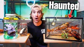 ORDERING HAUNTED LIVE FISH MYSTERY BOX OFF THE WEB...(what's inside?)