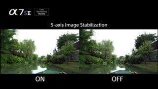 5-axis optical image stabilization | Alpha 7S II | Sony | α