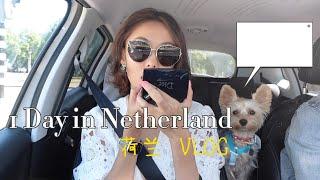 鹿特丹vlog 吃鲱鱼| 好吃的粤菜推荐