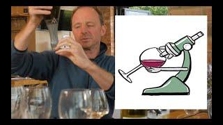 How to make a Great Wine (Using Science)!