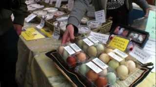 Union Square (New York City), Greenmarket Farmer's Market - Travel Video PostCard™