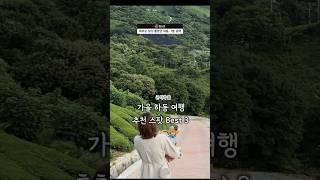 제주도 보다 좋았던 하동 여행 1분 리뷰 & 스팟 추천
