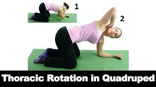 Thoracic Rotation in Quadruped - Ask Doctor Jo