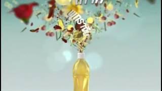 Kit-lipton.mov