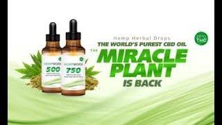 CBD Oil - As Seen on TV - Hear What Experts Have to Say