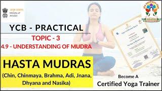 YCB Practical Exam - 7 Type of Hasta Mudras | Mudras | Yog Aurora