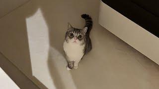 もちが夜中に1人で泣いてたので見に行ったら…