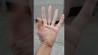 이거? 왜 유행하는건디