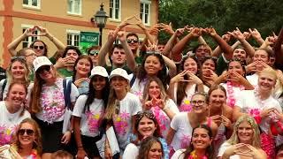 Bid Day Fall 2024 | Stetson University Greek Life