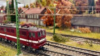 Wunderschöne Modul-Anlage der Magdeburger Eisenbahnfreunde | Spur H0 Herbst-Design Modelleisenbahn