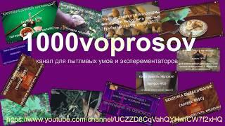 канал 1000voprosov