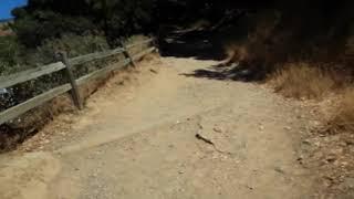 Angel Island | Immigration Station