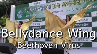 Bellydance Wing / Beethoven virus / 2018 칠곡군수배 전국산악자전거대회 / 심보경 / 정화경